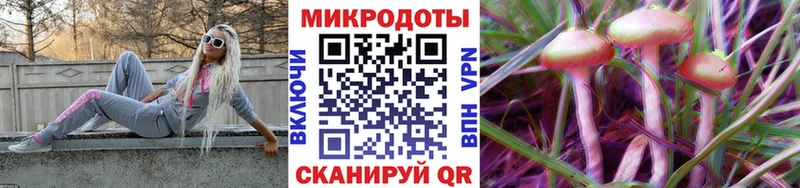 Галлюциногенные грибы Psilocybe  Верхний Уфалей 